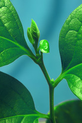 Similar image 13204189