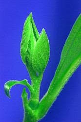 Similar image 13204190