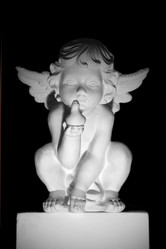 Similar image 13204193