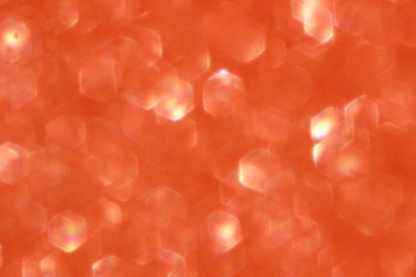 Similar image 13204198