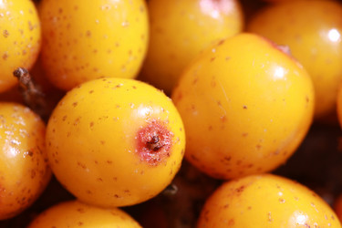 Similar image 13204233