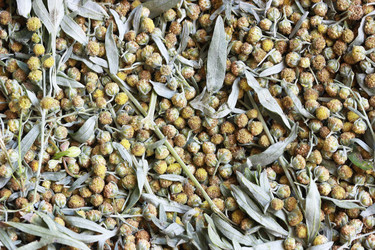 Similar image 13204246