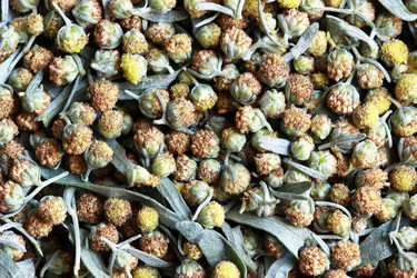 Similar image 13204247