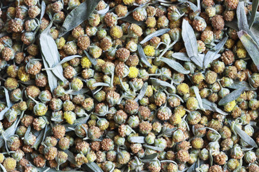 Similar image 13204248