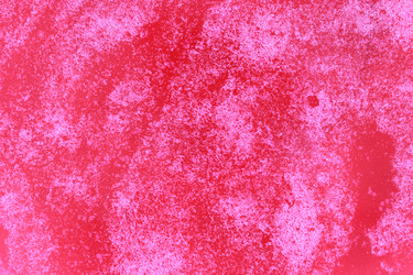 Similar image 13204266