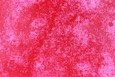 Similar image 13204270