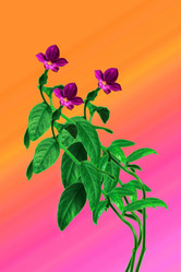 Similar image 13204272