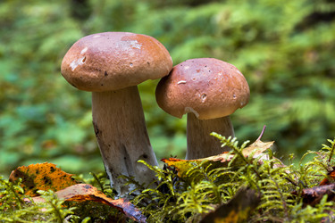 Similar image 13204567