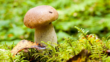 Similar image 13204568