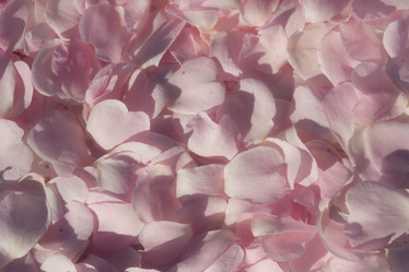 Similar image 13204569