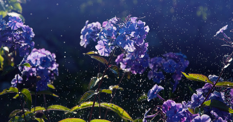 Similar image 13206167