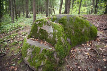 Similar image 13206187