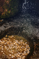 Similar image 13205329