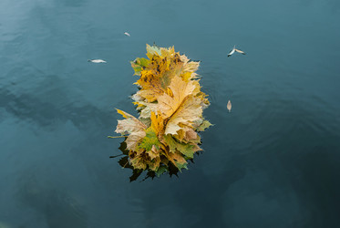 Similar image 13205330