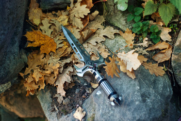 Similar image 13205331