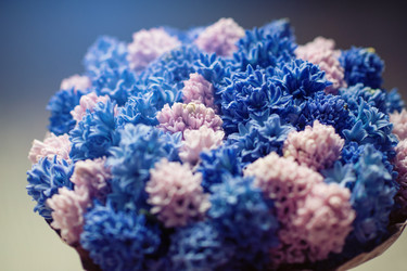 Similar image 13207890