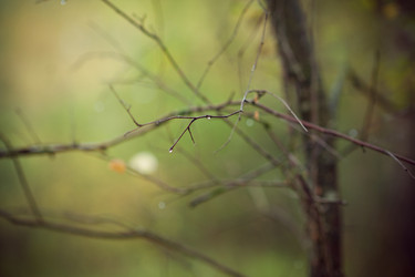 Similar image 13207892