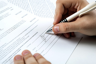 Similar image 13216852