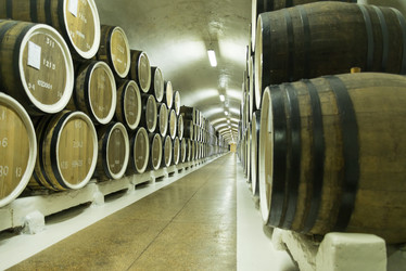 Similar image 13212640