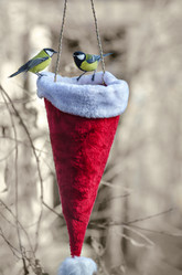 Similar image 13225942