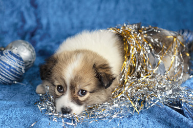 Similar image 13226157