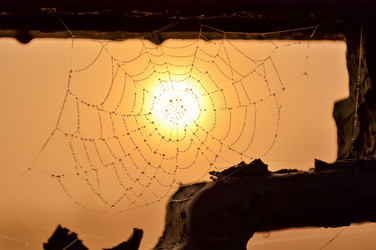 Similar image 13226164