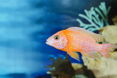 Similar image 13226169