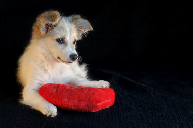 Similar image 13226173