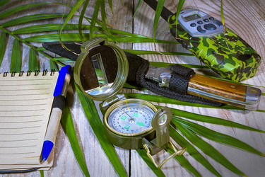 Similar image 13204576