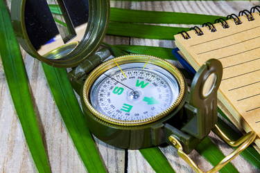 Similar image 13204577