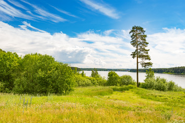 Similar image 13215770