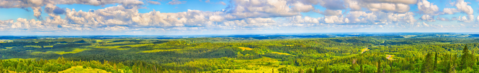 Similar image 13216533