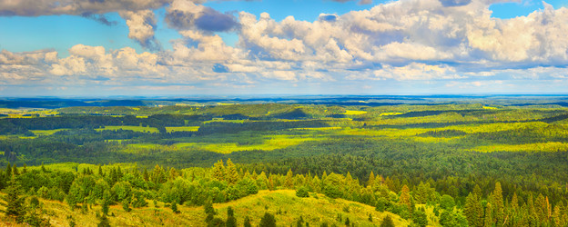 Similar image 13216492