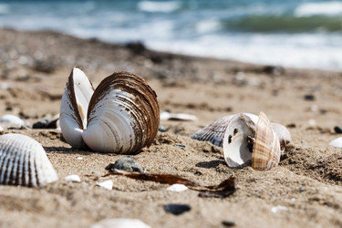 Similar image 13204580