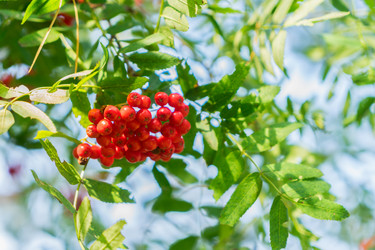 Similar image 13216836