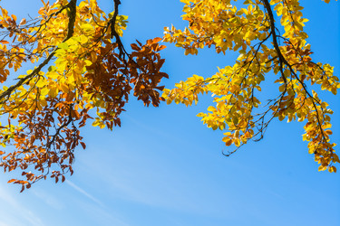 Similar image 13216872