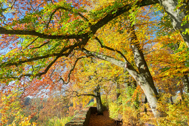 Similar image 13216873