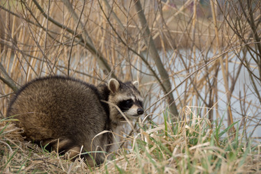 Similar image 13212643