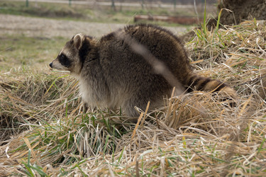 Similar image 13212644