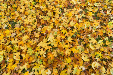 Similar image 13217153