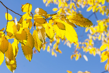 Similar image 13217191