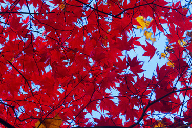 Similar image 13216914