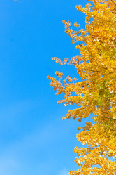 Similar image 13216915