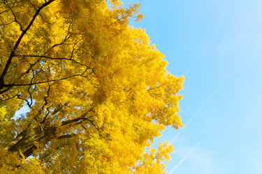 Similar image 13216932