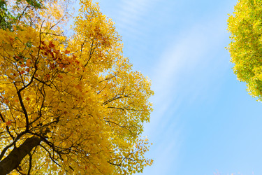 Similar image 13216934