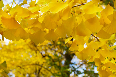 Similar image 13216937