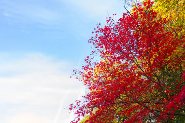 Similar image 13216939