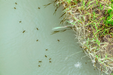 Similar image 13216322