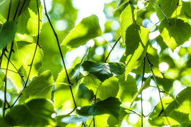 Similar image 13216324