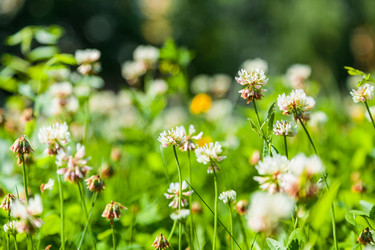 Similar image 13216325